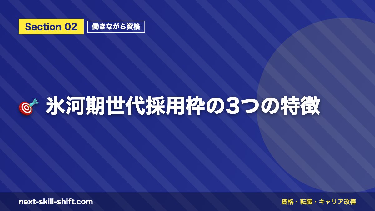 🎯 氷河期世代採用枠の3つの特徴