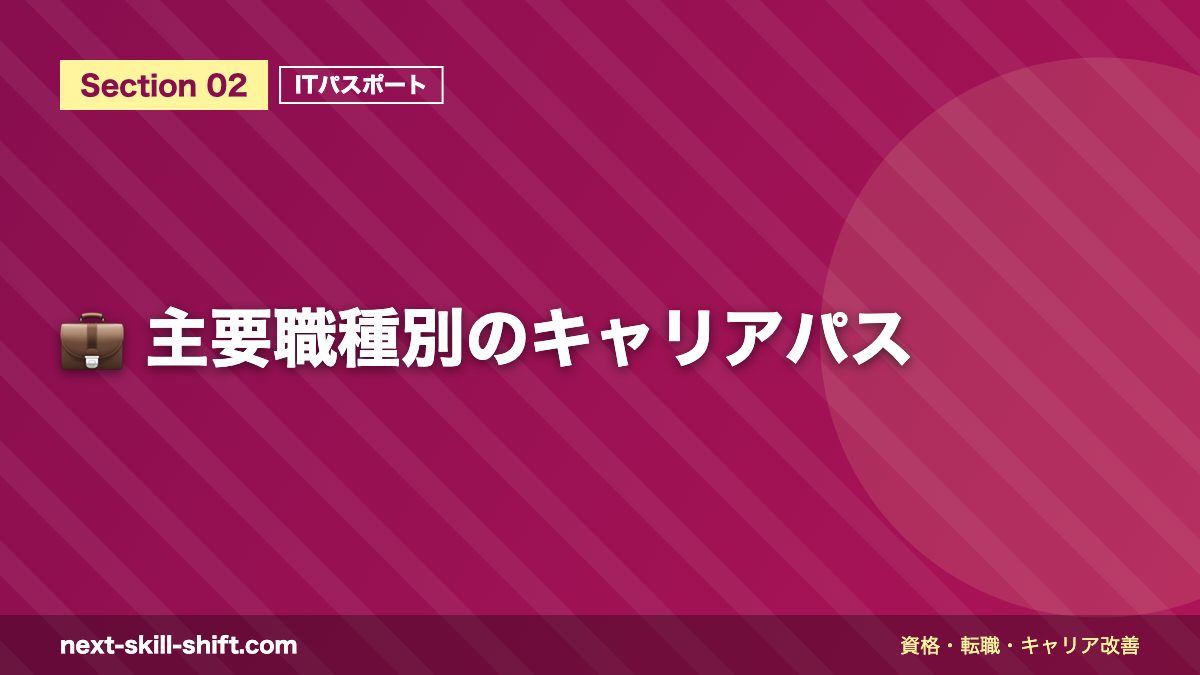 💼 主要職種別のキャリアパス