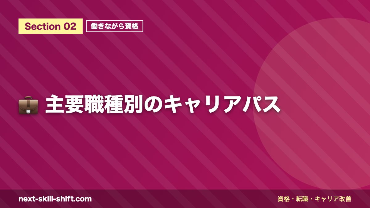 💼 主要職種別のキャリアパス